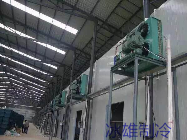 西安雷火·官方版网站登录入口_雷火（中国）
安装哪家好