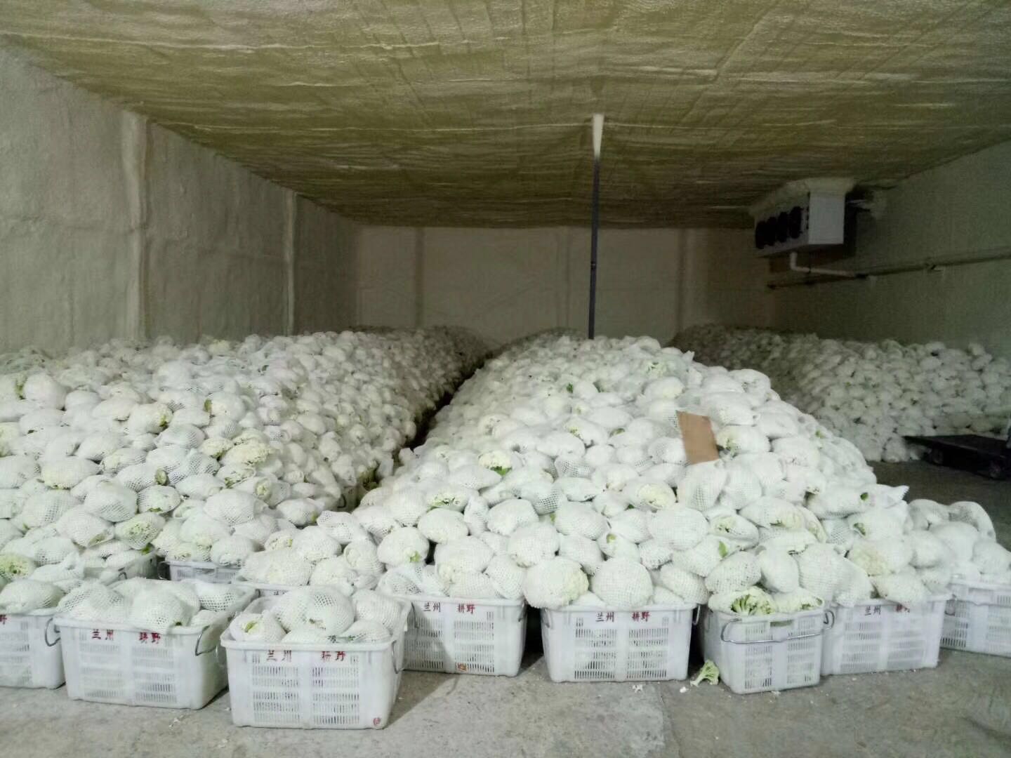 西安雷火·官方版网站登录入口_雷火（中国）
安装